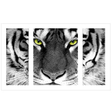 Load image into Gallery viewer, White Tiger - 5D™ Diamond Painting Kit - 3Pcs Canvas
