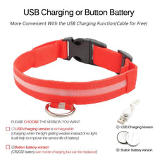 Load image into Gallery viewer, LED DOG COLLAR
