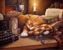 Load image into Gallery viewer, Sleeping Cat- Painting By Numbers
