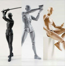 Load image into Gallery viewer, Body-Kun™ - Figure Models
