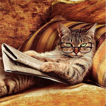 Load image into Gallery viewer, Nerdy Cat - Painting By Numbers
