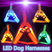 Load image into Gallery viewer, Super Safe LED Dog Harness
