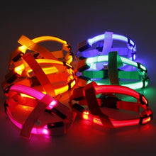 Load image into Gallery viewer, Super Safe LED Dog Harness
