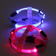 Load image into Gallery viewer, Super Safe LED Dog Harness
