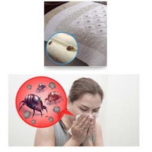 Load image into Gallery viewer, 3/5Pcs Anti Mites Pads
