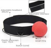 Load image into Gallery viewer, 2019 Boxing Reflex Ball
