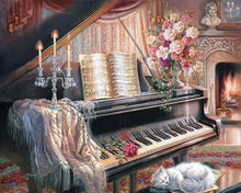 Load image into Gallery viewer, Sleeping Cat &amp; Piano- Painting By Numbers
