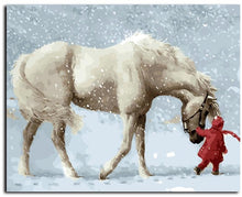 Load image into Gallery viewer, White Horse and Little Red- Painting By Numbers
