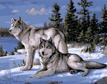 Load image into Gallery viewer, Wolf Couple- Painting By Numbers

