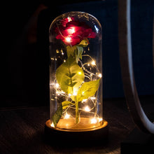 Load image into Gallery viewer, Enchanted Rose Flower Lamp
