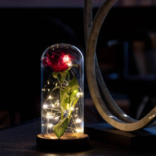 Load image into Gallery viewer, Enchanted Rose Flower Lamp
