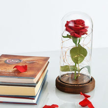 Load image into Gallery viewer, Enchanted Rose Flower Lamp
