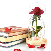 Load image into Gallery viewer, Enchanted Rose Flower Lamp
