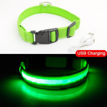 Load image into Gallery viewer, LED DOG COLLAR
