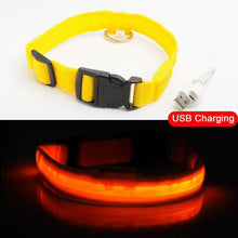 Load image into Gallery viewer, LED DOG COLLAR
